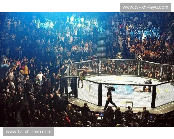 UFC传奇对决：当“将军”遇上“丹”，一场巅峰之战的宿命纠缠